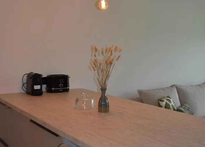 Lavand'in Apartment Durbuy